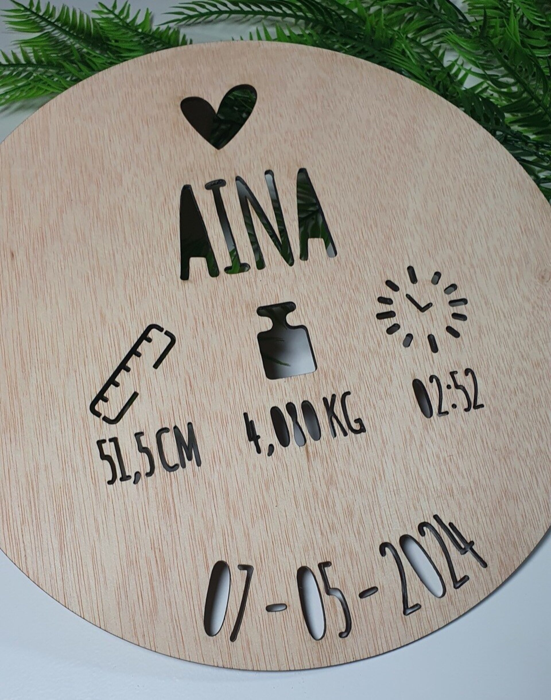 Placa de Nacimiento - 3